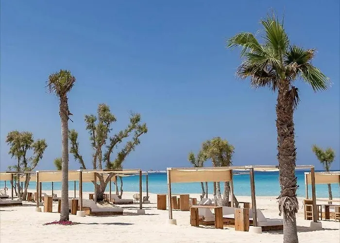 Fahd Palm Ajn-Szuhna